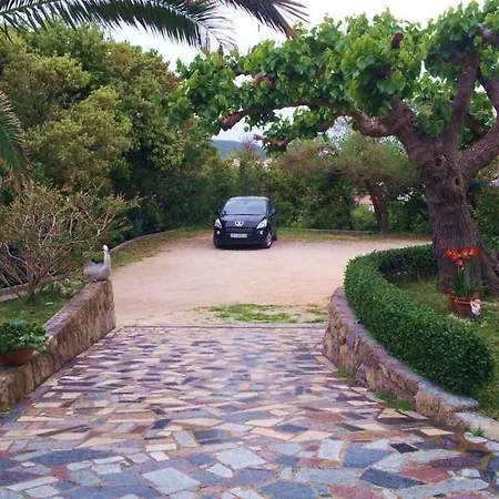 In - Insel Rab 26301 Appartamento Kampor