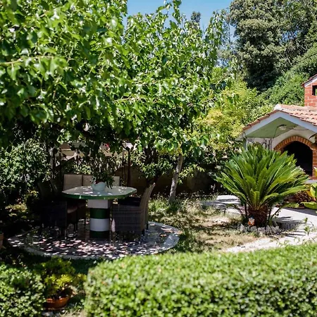 In - Insel Rab 26301 *