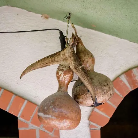 In - Insel Rab 26301 Appartamento