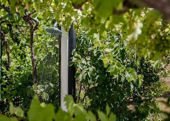 Apartament In - Insel Rab 26301